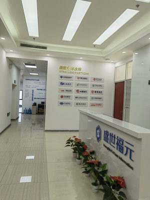 武漢盛世福元信息咨詢(xún)